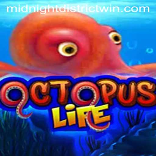 Discovering OctopusLife: The Innovative Gaming Experience in the Midnight District